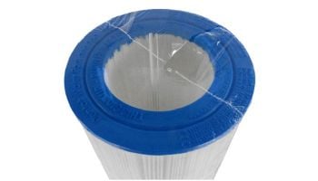 Pentair Replacement Cartridge Element for Clean and Clear 100 Sq. Ft. Filter | R173215