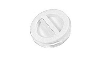 PENTAIR R22010 PLUG WINTERIZING 1.5