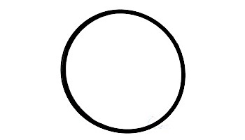 Pentair Rainbow Chlorinator Lid O-Ring | R172240Z