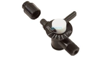 Pentair Control Valve | 1/4" NPT x Tube with Compression Nut | R172060 R172060Z
