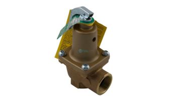 Raypak Pressure Relief Valve 125 PSI | 261-401 & 263-403 | 007224F