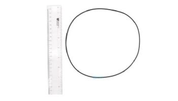 Fluidra O-Ring for Motor Clamp | 7731838026