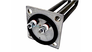 Raypak 5.5kW Heater Element Kit with Gasket | 240V | 001801F