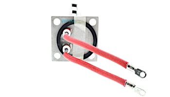 Raypak 11kW Electric Heater Element Kit with Gasket | 001802F