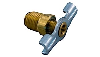 Raypak Drain Valve | 500719