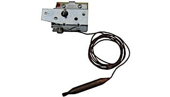 Raypak Mechanical Thermostat Control for Millivolt (Standing Pilot) Model Heaters | 600827B