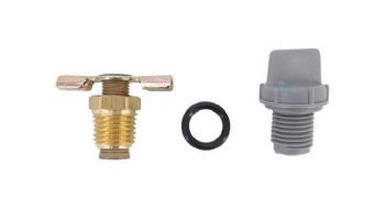 Raypak Capron Drain Plug | R185A - R405A | 006721F