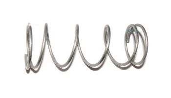 Raypak Unitherm Govenor Retainer Spring | 850254