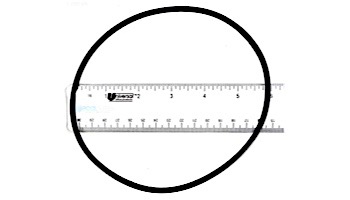 Sena Strainer Lid O-Ring | 77A1180040