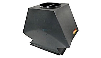 Raypak Outdoor Drafthood Kit Versa 335A | 003726F