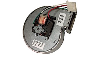 Raypak Heater Blower for Fan Assist Low Nox | 008080F