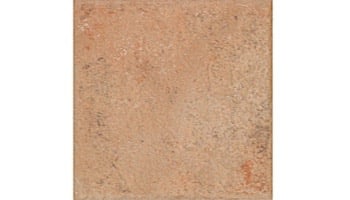 National Pool Tile India 6x6 Series | Dolphur | RX3044