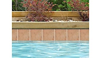 National Pool Tile India 6x6 Series | Dolphur | RX3044