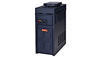 Raypak Versa 130k BTU Above Ground & Spa Heater | Electronic Ignition | Propane | P-M130A-EP-C #59 011495