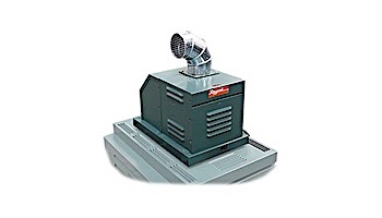 Raypak D-2 Indoor Power Vent 336-407 120/240V | 009833