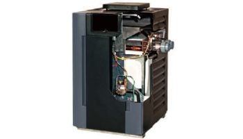 Raypak Analog Natural Gas Pool Heater 266k BTU | Millivolt Standing Pilot | High Altitude 6000-9000 Feet | P-M266A-MN-C 009915 | P-D266A-MN-C 009943 | P-R266A-MN-C 009843