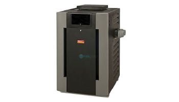 Raypak Digital Natural Gas Pool Heater 266k BTU | Electronic Ignition Digital | High Altitude #52 6000-9000 Feet | P-M266A-EN-C 009971 | P-D266A-EN-C 010003 | P-R266A-EN-C 009847
