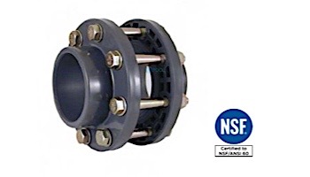 Fluidra USA 8" Flange Kit SS | 02378US