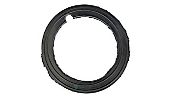 Waterco Bulkhead Seal Gasket | 31B9036