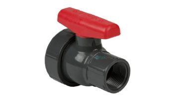Spears 1-1/2" Ball Valve with Union | Gray | 2412-015G
