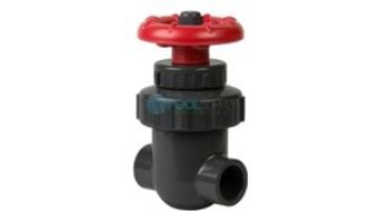 Spears 1" Gate Valve PVC S/S | 2012-010
