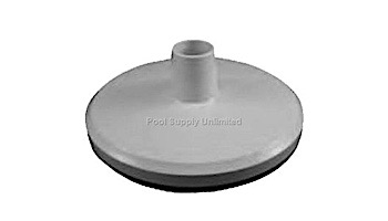 Skim-Vac with Gasket IG (STR) | 25573-000-000