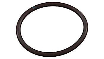 Aladdin Equipment O-Ring | O-125-9-10