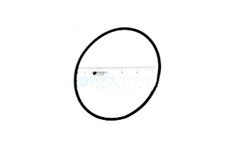 O-324-9 O-RING SKIMMER BOTTOM S20