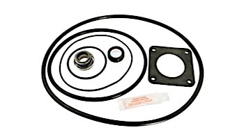 Seal & Gasket Kit Ultra Flow Pump | GO-KIT20 APCK1014