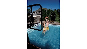 Commercial basketball game | 1.09 Stanless Steel Dual-Posts | With Anchors | BASKC