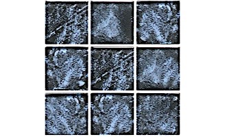National Pool Tile Nebula Glass Series | Blue 2x2 | GLTN0074