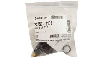 Pentair Air Relief Valve and Gauge Kit for System3 Filters | 24850-0105