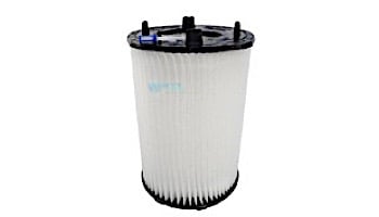 Pentair DE Replacement Module 30 Sq Ft PLD50 | 27002-0030S