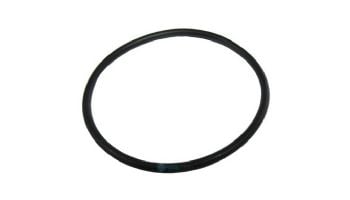 Pentair Union O-Ring Buna-N 70 Shore | U9-362