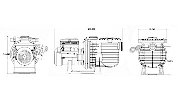 Sta-Rite IntelliPro 3HP Ultra Energy Efficient VS+SVRS Pool Pump 230V | P6E6XS4H-209L | 013002