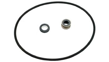 Pentair Max-E-Pro Seal Plate Kit | C203-194P