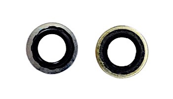 Pentair Stat-O-Seal Washer | Metal | C43-46SS
