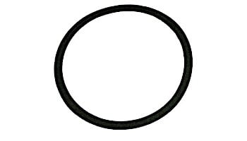 PENTAIR C20-121 GASKET