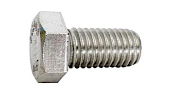 Pentair Cap Screw 1/2"-13x1" | S23619
