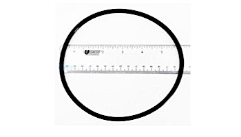 Pentair O-Ring Seal Plate | 35505-1438