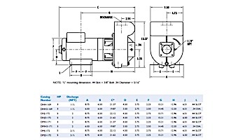 Sta-Rite D-Series 3HP Standard Efficiency Single Phase Commercial Pool Pump 230V | DHH-169
