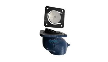 Pentair 3" Suction Flange | PKG 73