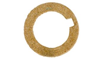 Pentair Gasket Seal 29/32"IDx1" | C20-101