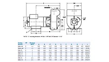 Sta-Rite D-Series 5HP Standard Efficiency Single Phase Commercial Pool Pump 230V | DMJ-172