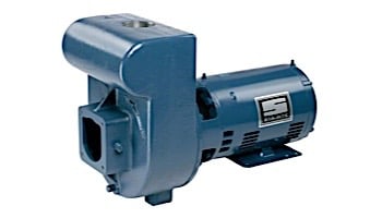 Sta-Rite D-Series 5HP Standard Efficiency 3-Phase Commercial High Head Pool Pump 208-230/460V | DHJ3-170 | DHJ3 STA-RITE