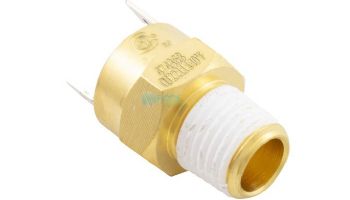 Pentair 140 Degree Taped Automatic Gas Shut-Off Switch | 42002-0025S