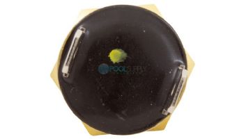 Pentair 140 Degree Taped Automatic Gas Shut-Off Switch | 42002-0025S