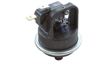 Pentair Water Pressure Switch | 42001-0060S