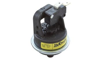 Pentair Water Pressure Switch | 42001-0060S