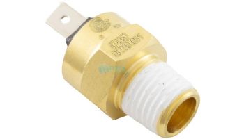 Pentair High Limit Switch for Heater Electrical System | 42001-0063S